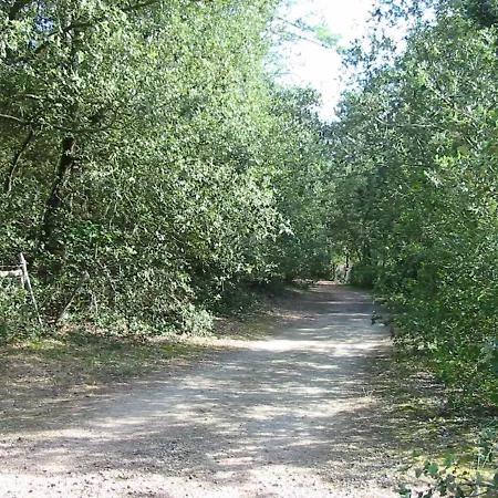 Hébergement de vacances Maison Angles , 4 pièces, 6 personnes - FR-1-357-267 *
